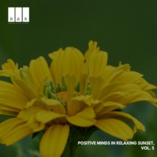 Positive Minds in Relaxing Sunset, Vol. 5