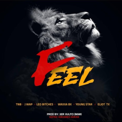 Feel ft. Leo bx, Waxxa bx, Jay wap, Eliot tx & TNB alienboy | Boomplay Music