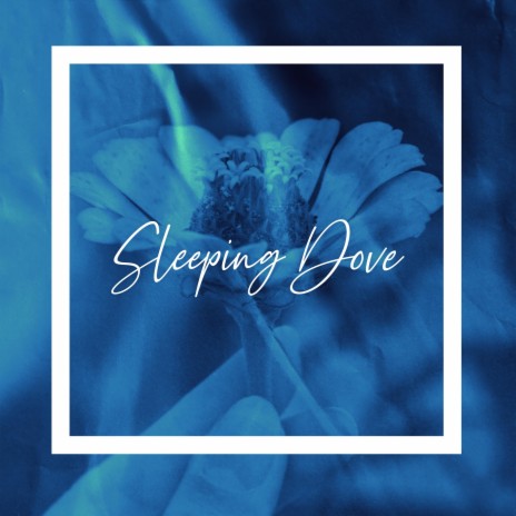 Sleeping Dove ft. Blue Cat Guy | Boomplay Music