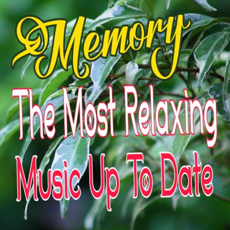 Memory | Boomplay Music