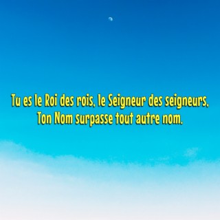 Tu es le roi des rois et le seigneur des seigneurs. Ton nom surpasse tout autre nom.