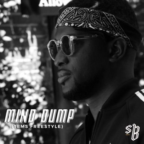 Mind Dump (Tems Freestyle) | Boomplay Music