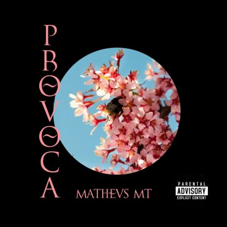 PROVOCA | Boomplay Music