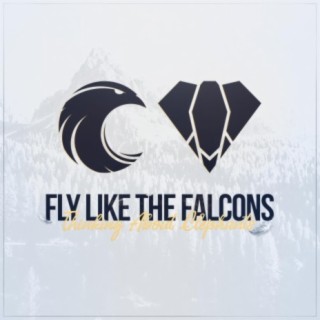 Fly Like The Falcons