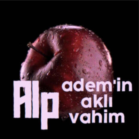 Adem'in Aklı Vahim | Boomplay Music