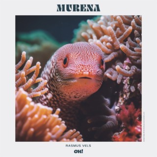 Murena EP