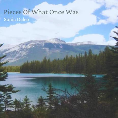 Pieces Of What Once Was | Boomplay Music