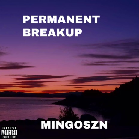 Permanent Breakup | Boomplay Music