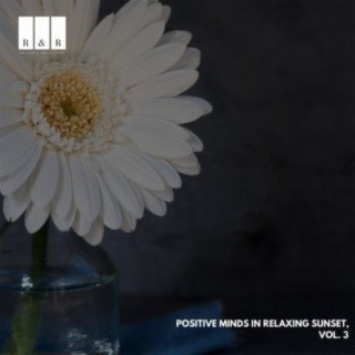 Positive Minds in Relaxing Sunset, Vol. 3