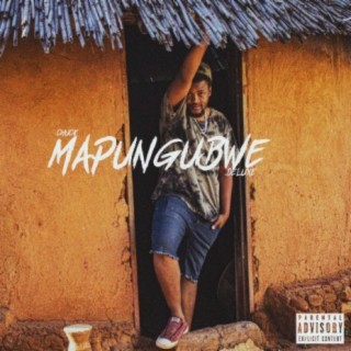 Mapungubwe Deluxe