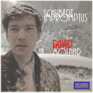 Schubert Impromptus