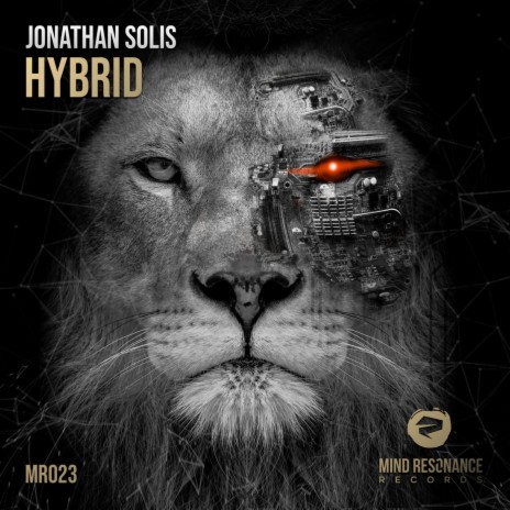 Hybrid (Extended Mix) | Boomplay Music