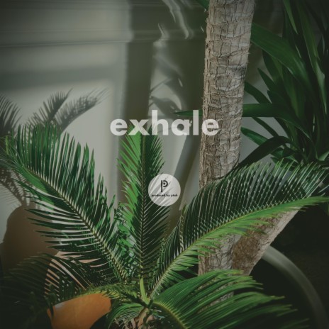 exhale | Boomplay Music