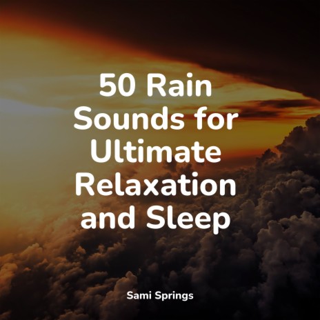 Tropics' Tranquil Scene ft. Musica Para Estudiar Academy & Deep Sleep Relaxation | Boomplay Music