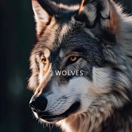 WOLVES | Boomplay Music