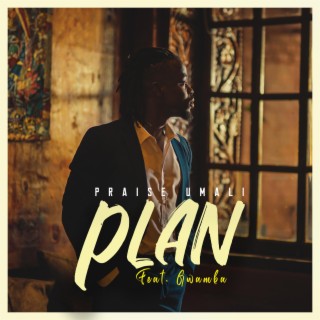 Plan ft. Gwamba lyrics | Boomplay Music