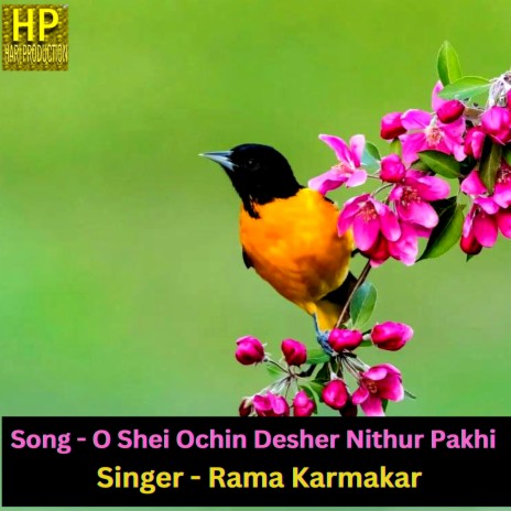 O Sei Ochin Desher Nithur Pakhi (Bangla Song) | Boomplay Music