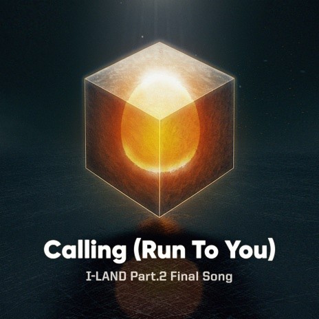 Calling (Run To You)