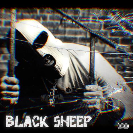 BLACK SHEEP | Boomplay Music