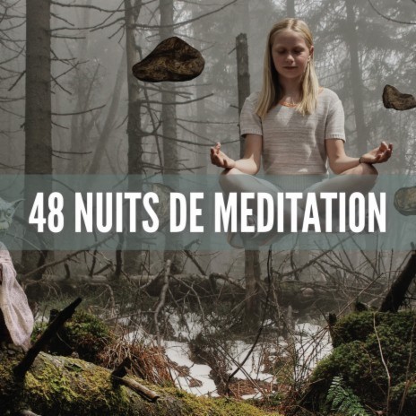 Gouvernement ft. Meditation Music & Zone de la musique zen | Boomplay Music