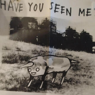 Have you seen me? (The other me)