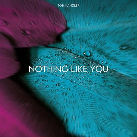 Nothing Like You | Boomplay Music