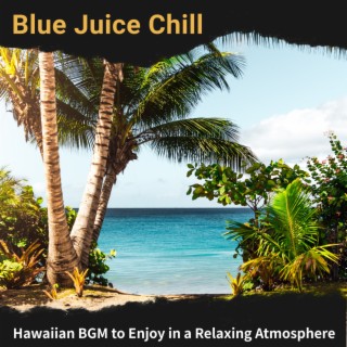 Hawaiian BGM to Enjoy in a Relaxing Atmosphere
