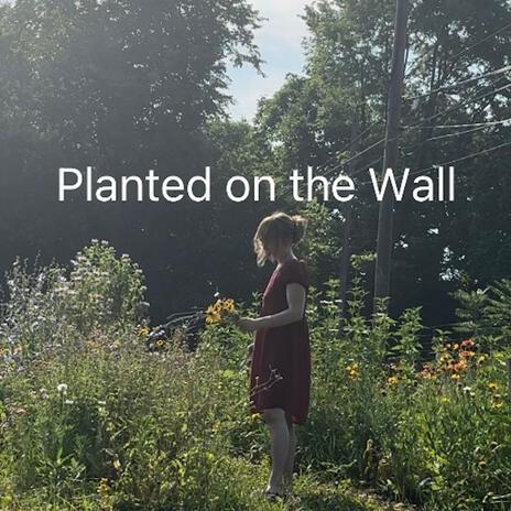 Planted on the Wall | Boomplay Music