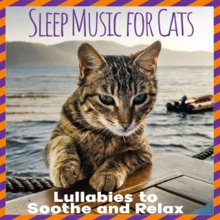 Sleep Music For Cats: Lullabies to Soothe and Relax
