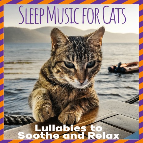 Deep Meditation ft. Cat Music & Cat Music Dreams