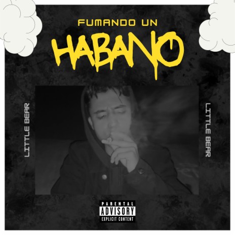 FUMANDO UN HABANO | Boomplay Music