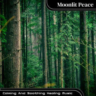 Calming And Soothing Healing Music