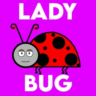 Lady Bug