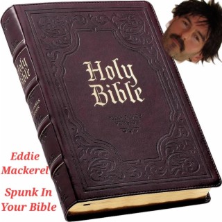 Spunk In Your Bible