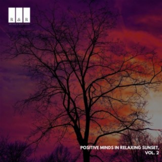 Positive Minds in Relaxing Sunset, Vol. 2