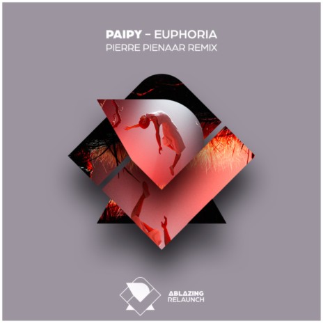 Euphoria (Pierre Pienaar Remix) ft. Pierre Pienaar | Boomplay Music