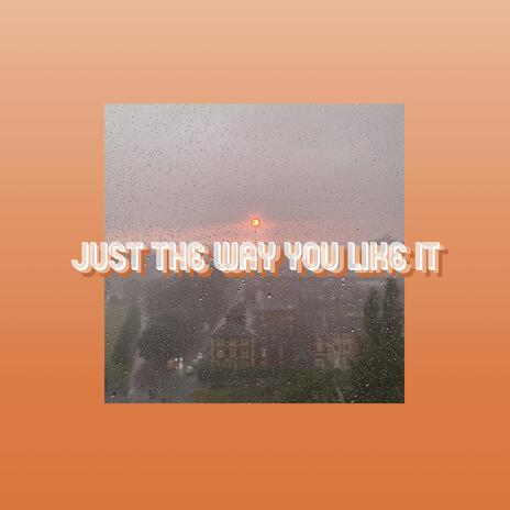 Just The Way You Like It | Boomplay Music