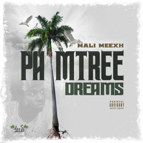 Palmtree Dreams