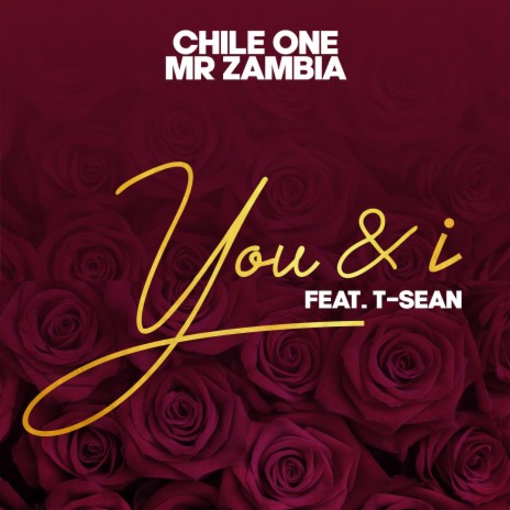 You & I ft. T-Sean | Boomplay Music