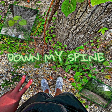 DOWN MY SPINE | Boomplay Music