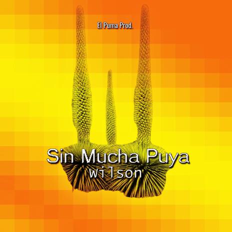 Sin Mucha Puya | Boomplay Music