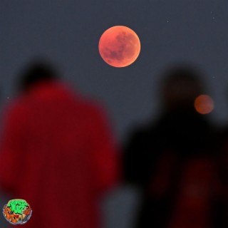 Blood Moon