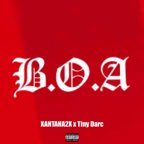 B.O.A ft. Tiny Darc | Boomplay Music