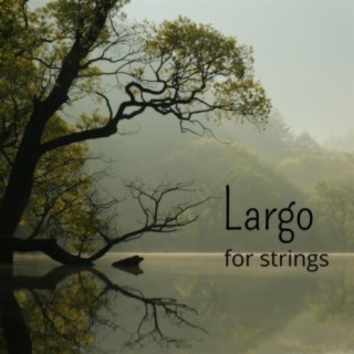 Largo for Strings