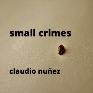 Small Crimes