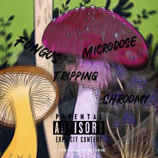 Shrooms x Tripps