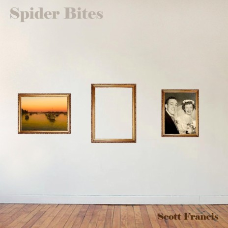 Spider Bites | Boomplay Music