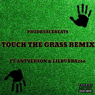 Touch The Grass (Remix)