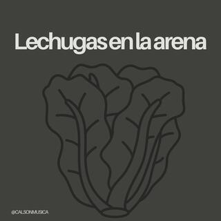 Lechugas En La Arena