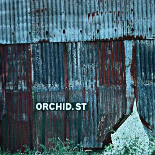 Orchid Street